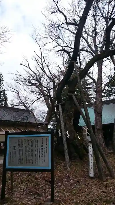 蠶養國神社のその他建物