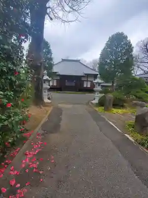 興聖寺の本殿・本堂