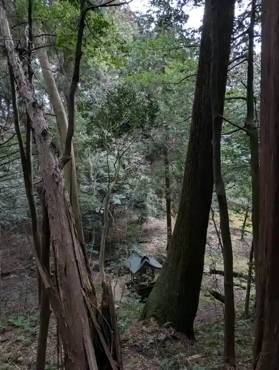 粟鹿神社の{uncategorized: "未分類", other: "その他", undefined: "問題あり", building: "その他建物", grave: "お墓", sacred_gate: "鳥居", guardian: "狛犬", statue: "像", buddha: "仏像", history: "歴史", nature: "自然", garden: "庭園", animal: "動物", pagoda: "塔", temizu: "手水舎", mountain_gate: "山門・神門", sanctuary: "本殿・本堂", subordinate: "末社・摂社", art: "芸術", scenery: "景色", jizo: "地蔵", ema: "絵馬", goshuin: "御朱印", omikuji: "おみくじ", items: "授与品その他", amulet: "お守り", goshuincho: "御朱印帳", eats: "食事", festival: "お祭り", votive_dance: "神楽", shichigosan: "七五三参", wedding: "結婚式", experience: "体験その他", initially: "初詣", around: "周辺", anti_infection: "感染症対策"}