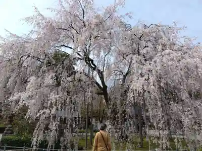 足羽神社(福井県)