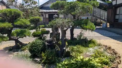 妙長寺(福井県)