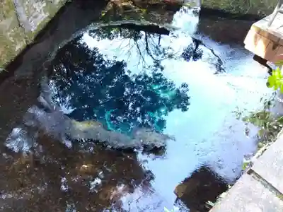 貴船神社(静岡県)