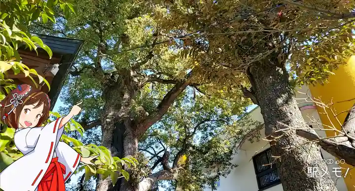 五方山熊野神社の自然