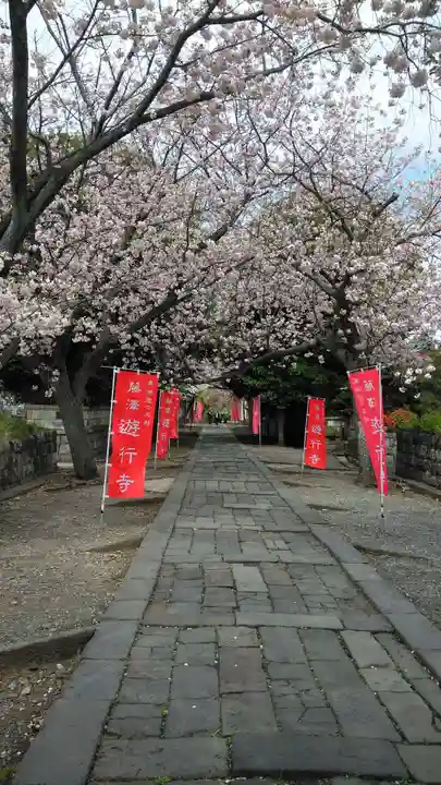 時宗総本山 遊行寺(正式:清浄光寺)(神奈川県)