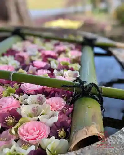 立志神社(滋賀県)