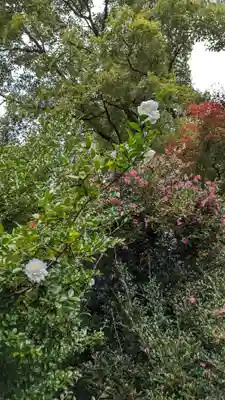 霊鑑寺門跡(京都府)