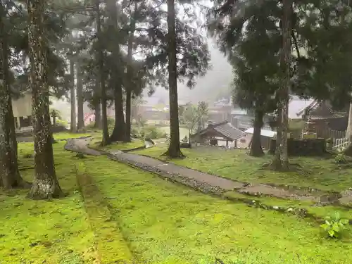 金剛證寺の自然