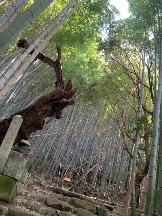 人麿神社の自然
