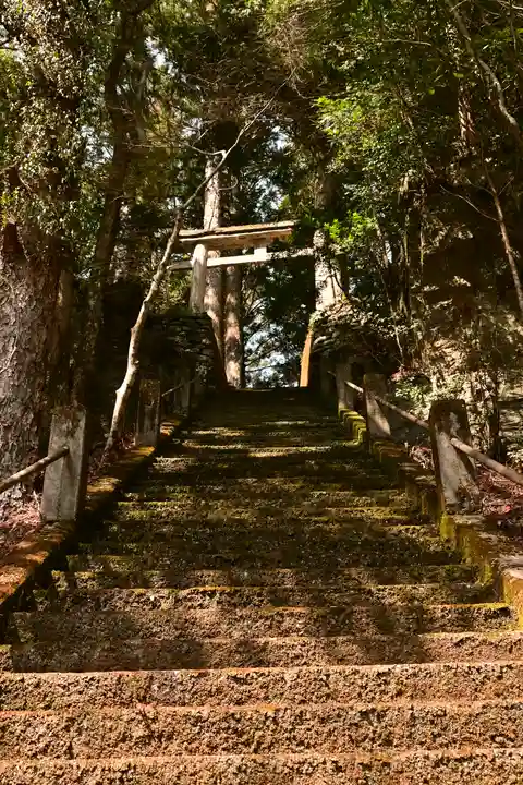 八幡神社(渋草)(愛媛県)