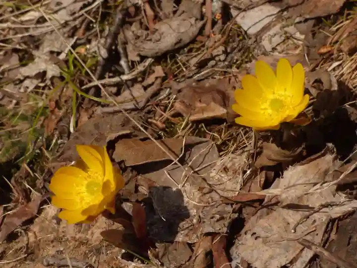 留辺蘂神社(北海道)