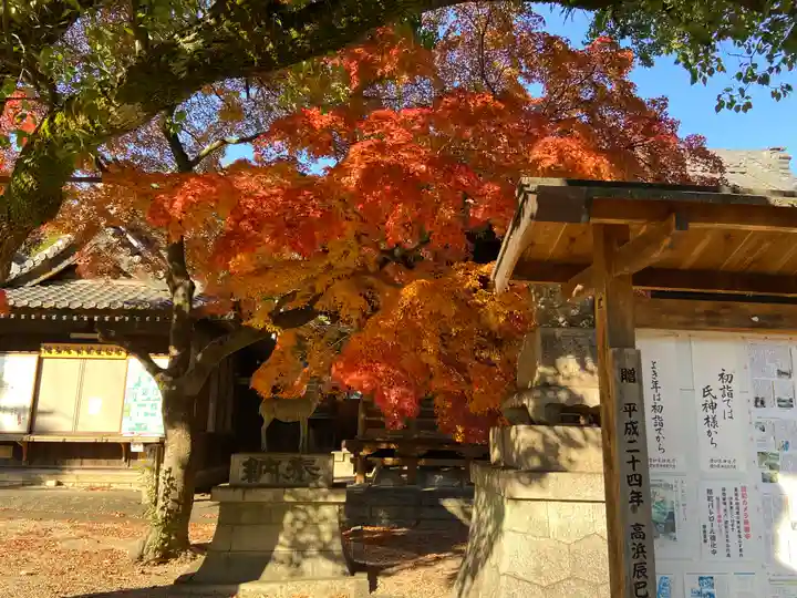 愛知県高浜市春日神社の自然