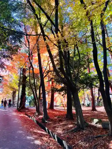 胡宮神社（敏満寺史跡）(滋賀県)