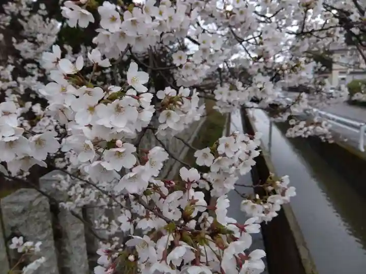 大和神社(新潟県)