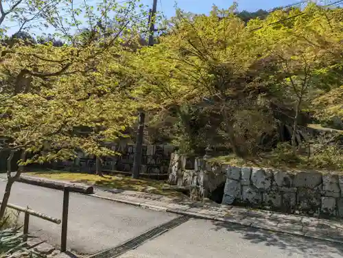 圓通寺(京都府)