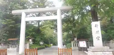 阿佐ヶ谷神明宮の鳥居