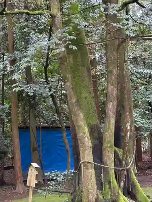 舟津神社(福井県)