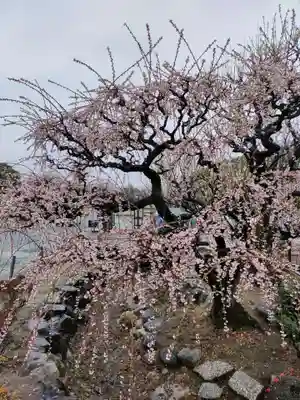 結城神社の庭園