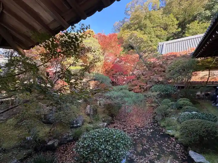 禅林寺(永観堂)(京都府)