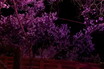 新城藤原神社(長野県)