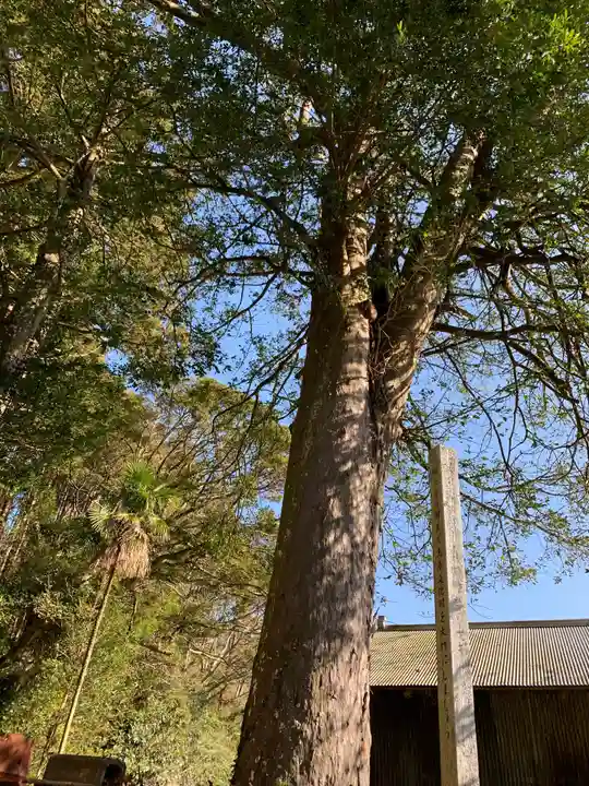 熊野神社の自然