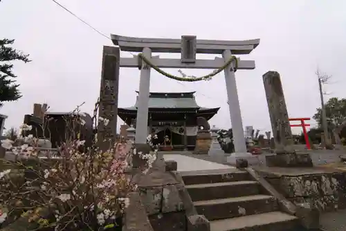 熊野福藏神社の鳥居