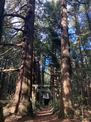 青山神社(茨城県)