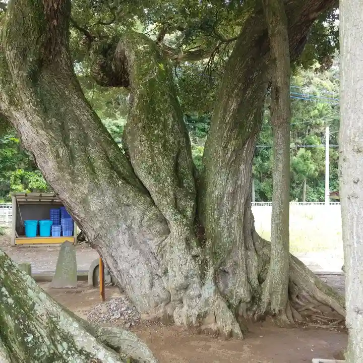 道路衢神の自然
