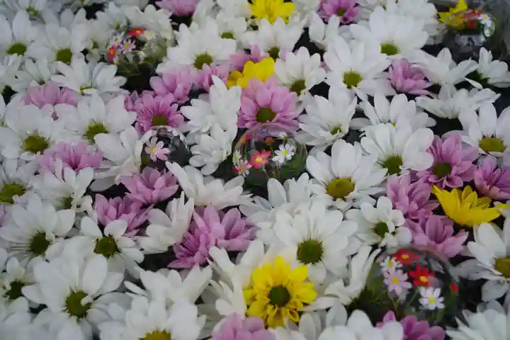 白根三吉神社の手水舎