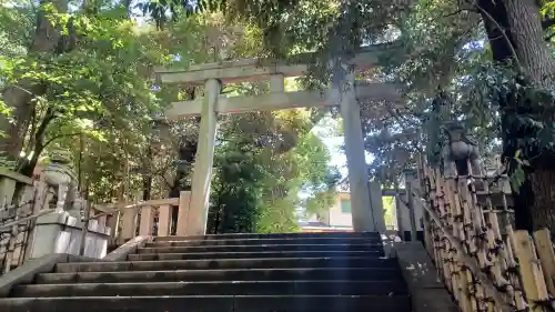 渋谷氷川神社の鳥居