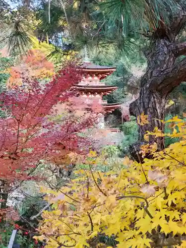 浄瑠璃寺(京都府)