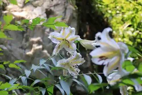 鹿島大神宮の自然