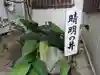 晴明社(本町晴明神社)のその他建物