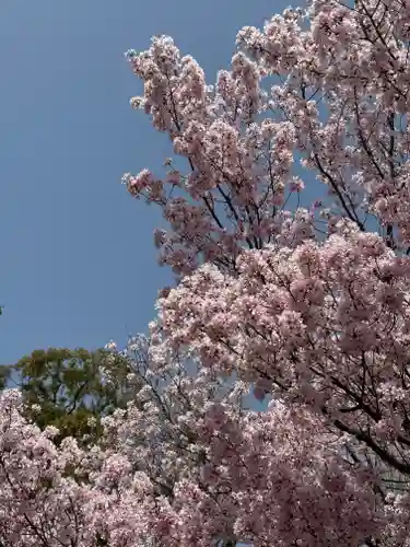 八雲氷川神社(東京都)