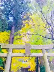 岡見八坂神社の鳥居