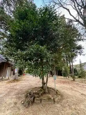 熊野大社(島根県)