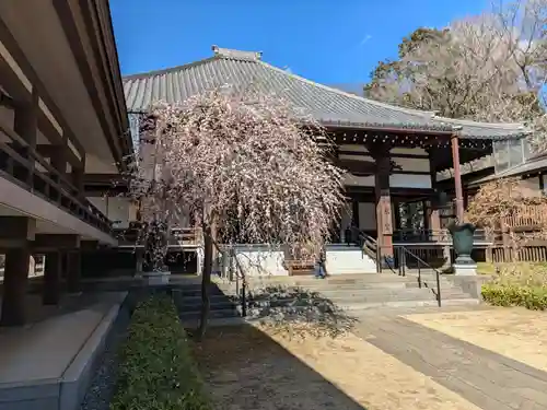 妙法寺(東京都)