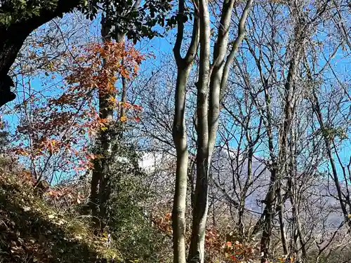 菱野健功神社(長野県)