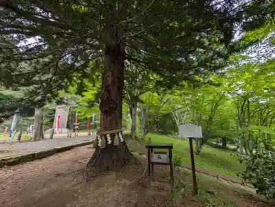 土津神社｜こどもと出世の神さま(福島県)