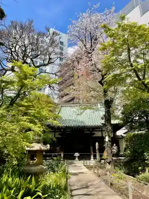 東福寺の{uncategorized: "未分類", other: "その他", undefined: "問題あり", building: "その他建物", grave: "お墓", sacred_gate: "鳥居", guardian: "狛犬", statue: "像", buddha: "仏像", history: "歴史", nature: "自然", garden: "庭園", animal: "動物", pagoda: "塔", temizu: "手水舎", mountain_gate: "山門・神門", sanctuary: "本殿・本堂", subordinate: "末社・摂社", art: "芸術", scenery: "景色", jizo: "地蔵", ema: "絵馬", goshuin: "御朱印", omikuji: "おみくじ", items: "授与品その他", amulet: "お守り", goshuincho: "御朱印帳", eats: "食事", festival: "お祭り", votive_dance: "神楽", shichigosan: "七五三参", wedding: "結婚式", experience: "体験その他", initially: "初詣", around: "周辺", anti_infection: "感染症対策"}