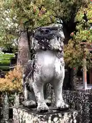八代宮の狛犬