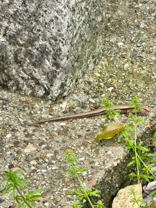 玉田神社(京都府)