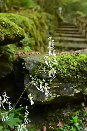 東陸様(高知県)