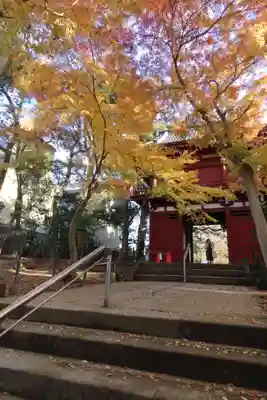 本土寺の山門・神門