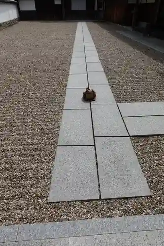 金剛寺のその他建物