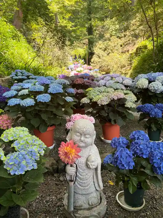 岡寺(龍蓋寺)(奈良県)
