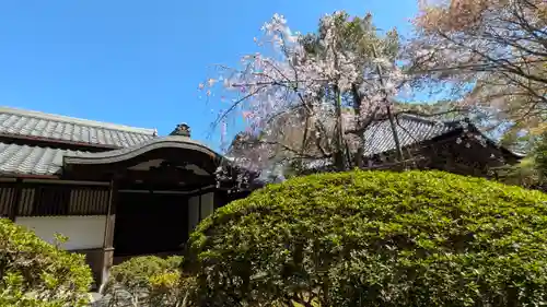 恵日院慈眼堂(滋賀県)