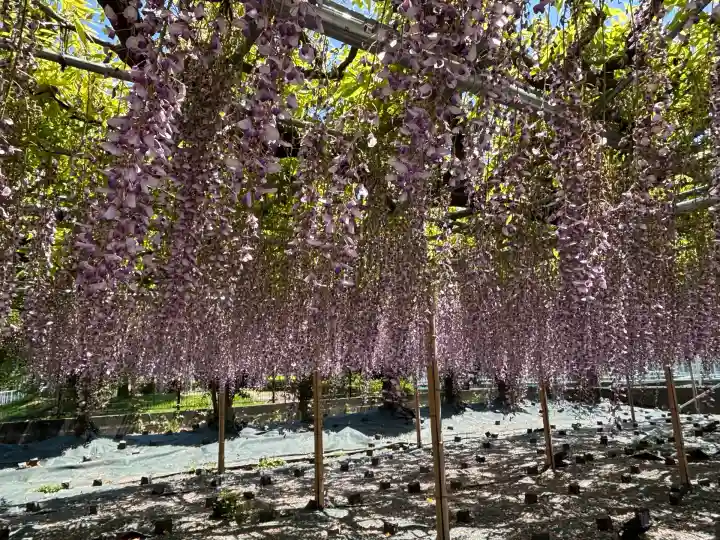白旗神社(神奈川県)