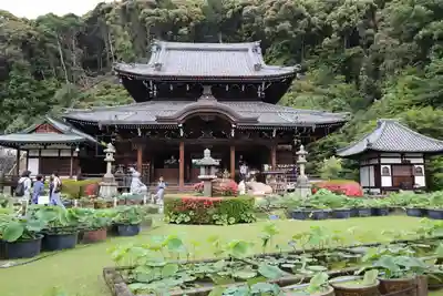 三室戸寺(京都府)