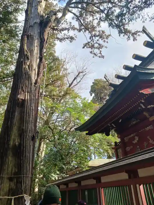 一言主神社(茨城県)