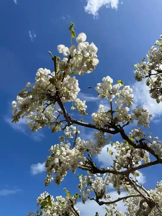 天台宗 五大山 白毫寺(兵庫県)
